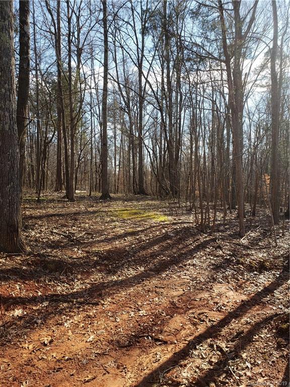 0 Hickory Heights Road Hickory Grove, SC 29717 - Photo 9 of 10