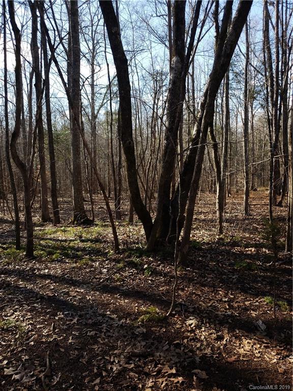 0 Hickory Heights Road Hickory Grove, SC 29717 - Photo 10 of 10