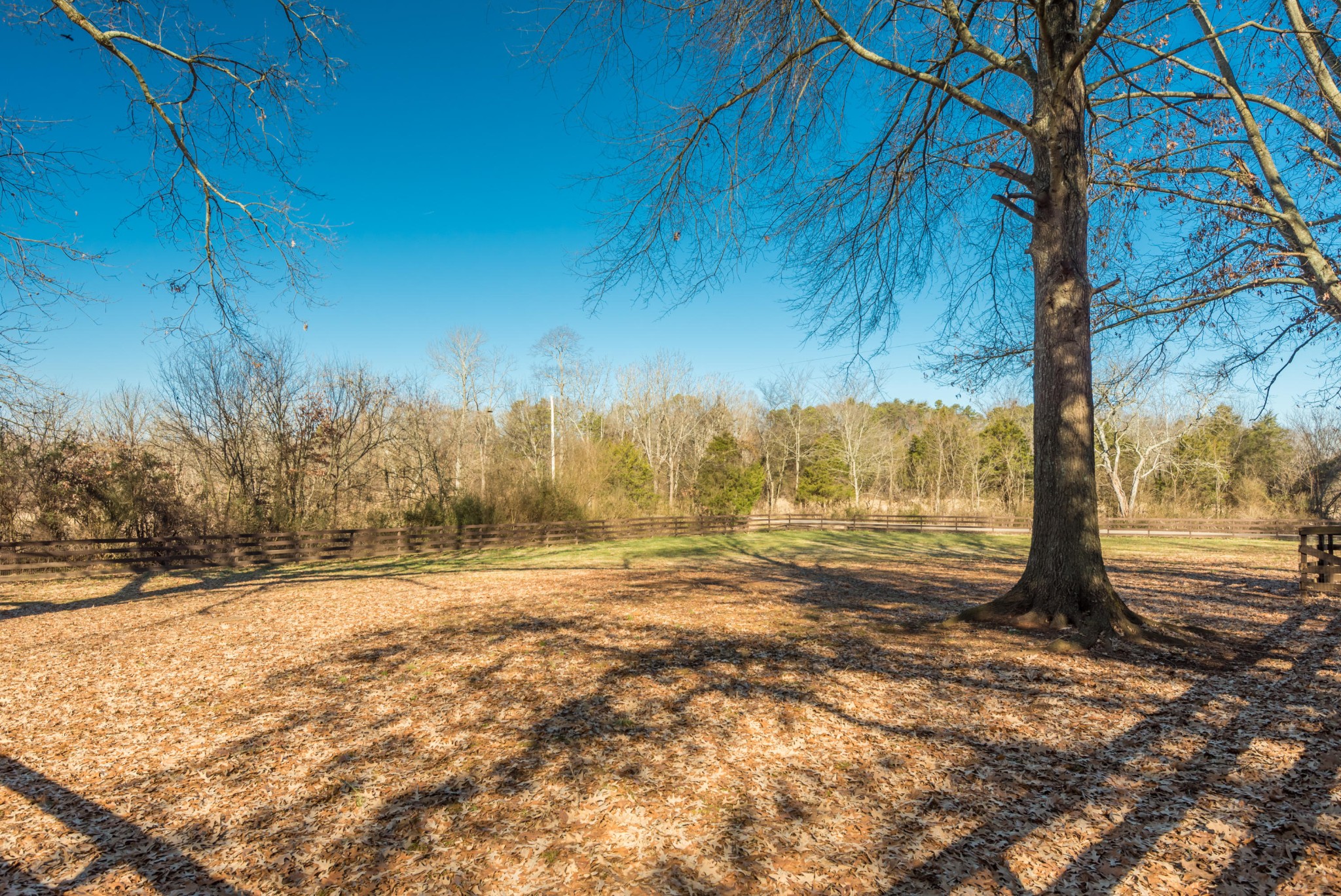347 Murrays Chapel Road Sweetwater, TN 37874 - Photo 34 of 36 Gallery Image 34