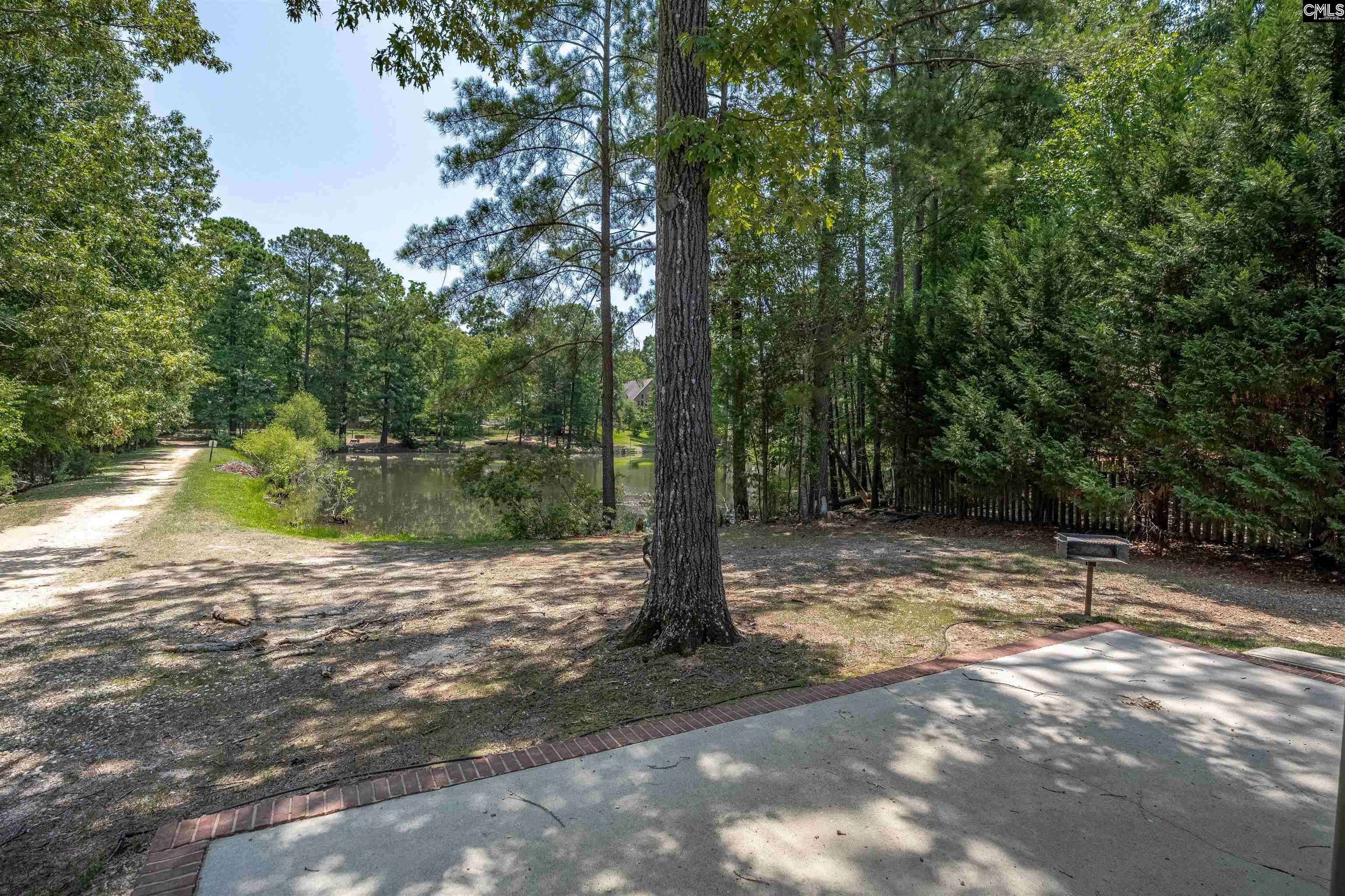 238 Hilton View Court Chapin, SC 29036 - Photo 53 of 63