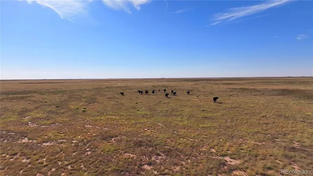 a view of an ocean beach