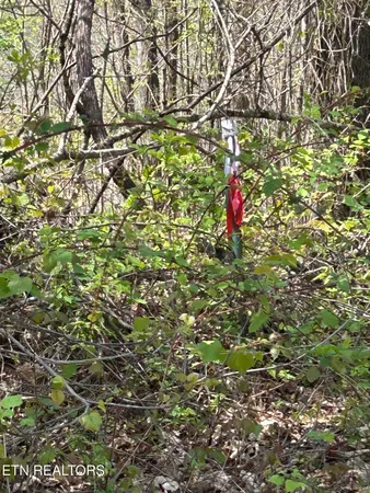 $100,000 | Lot 27 Jones Ridge Road, Speedwell, TN 37870