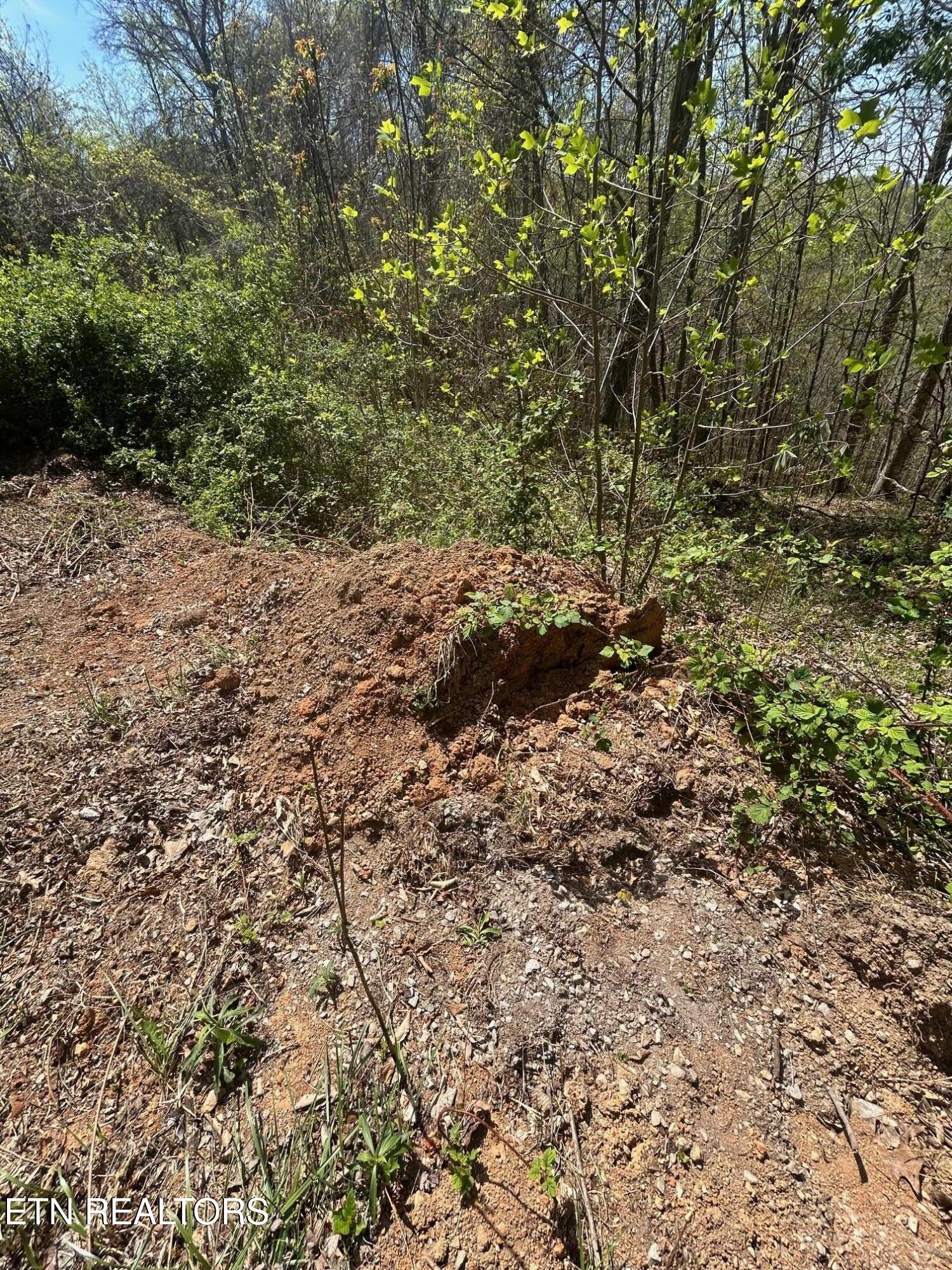 Lot 27 Jones Ridge Road Speedwell, TN 37870 - Photo 6 of 10 IMG_1657