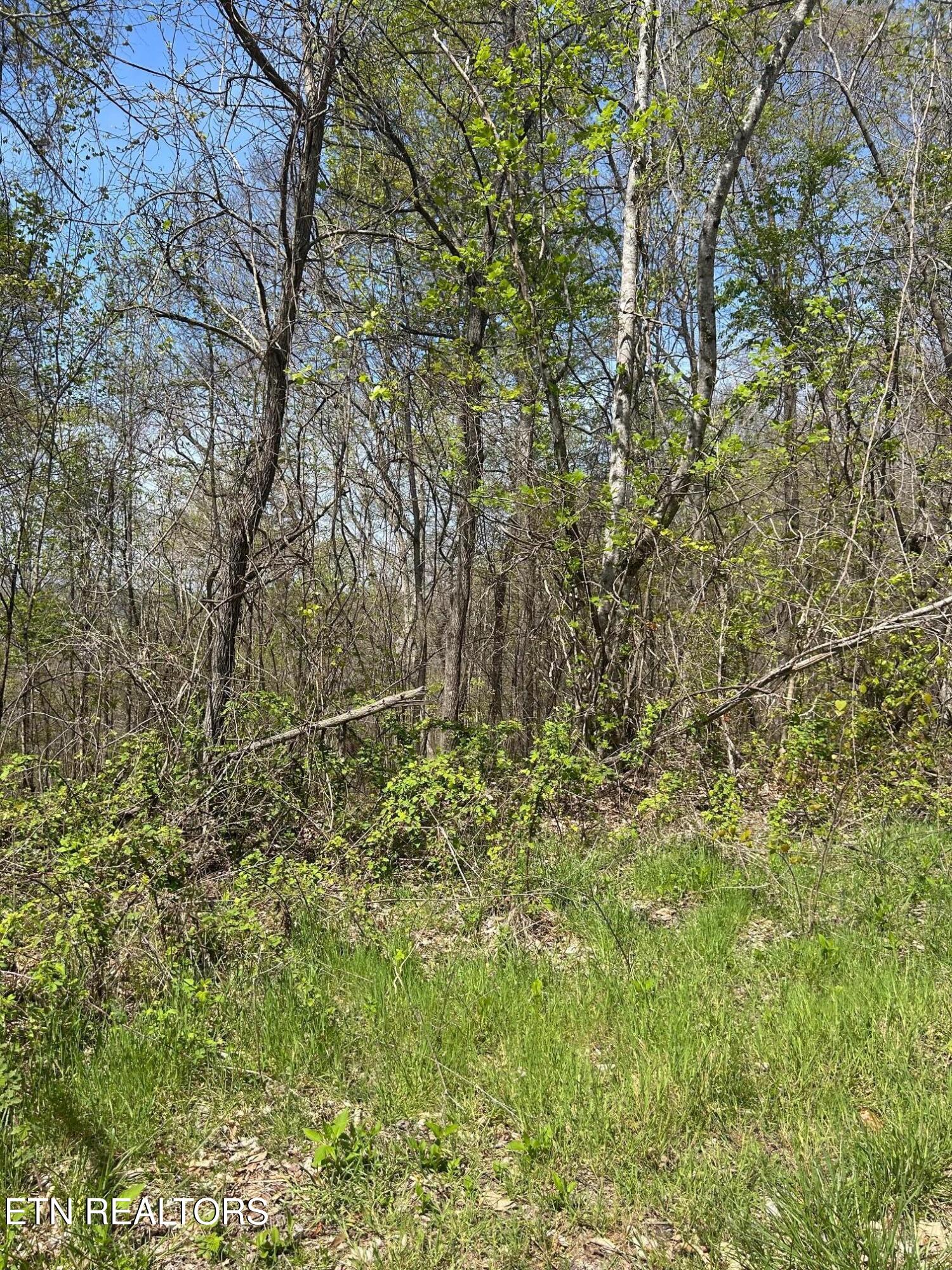 Lot 27 Jones Ridge Road Speedwell, TN 37870 - Photo 10 of 10 IMG_1661