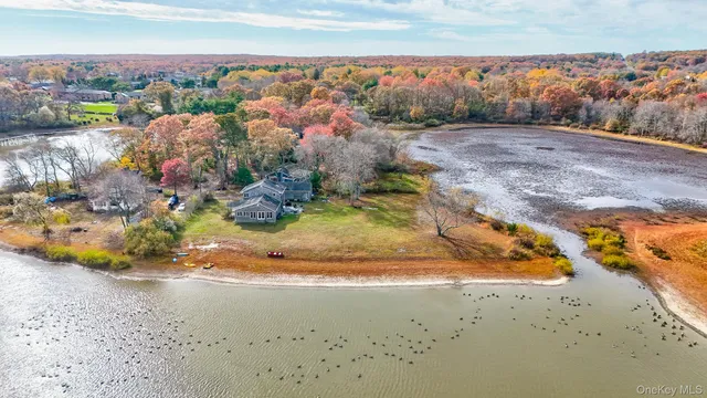 a view of a dry yard with lots of trees