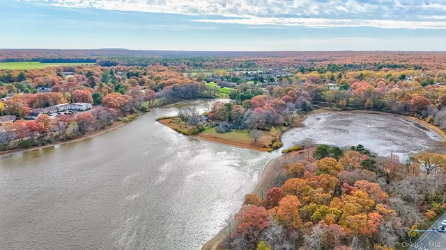 a view of a city with ocean view
