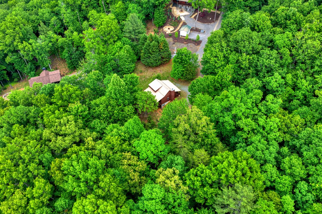 1178 Green Ridge Road Blue Ridge, GA 30513 - Photo 32 of 39 Gallery Image 32