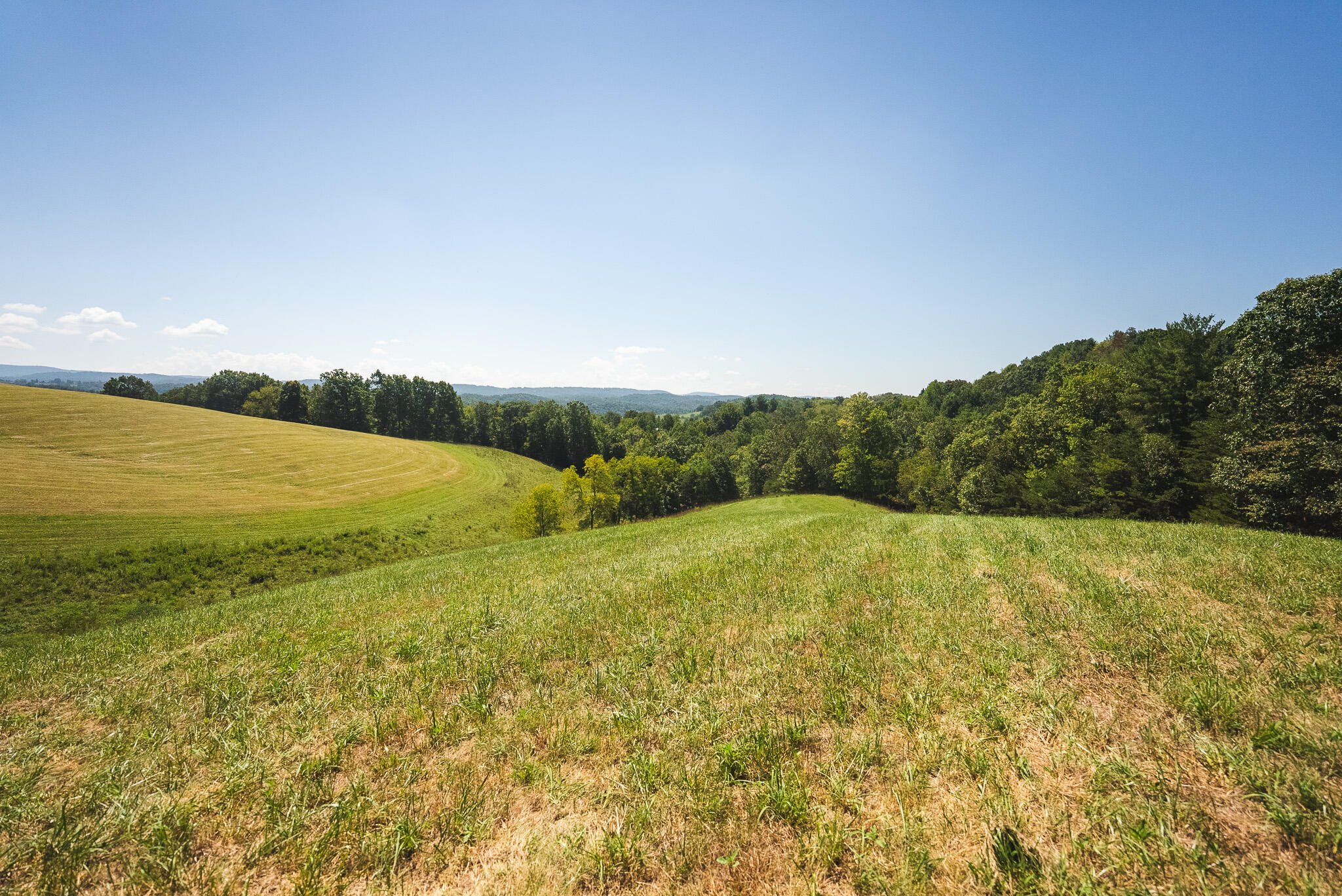5902 Chestnut Ridge Road Riner, VA 24149 - Photo 44 of 50 DSC03662