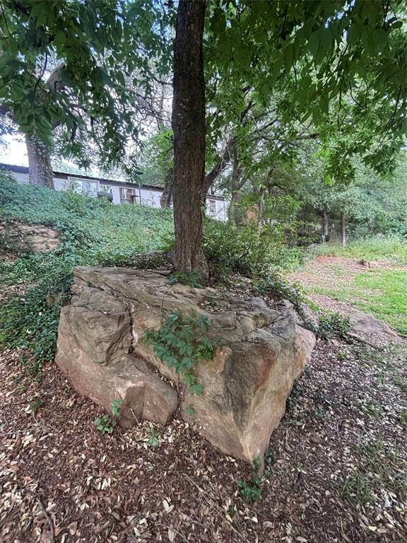 101 Riverview Road Millsap, TX 76066 - Photo 22 of 26 a view of a trees with yard