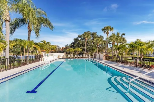 a view of a swimming pool with a lawn chairs under palm trees