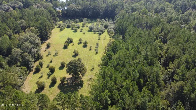 $449,000 | Ben Byrd Road, Lumberton, MS 39455