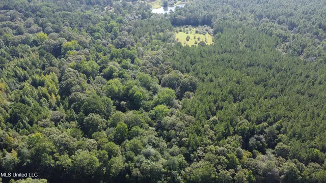 $449,000 | Ben Byrd Road, Lumberton, MS 39455