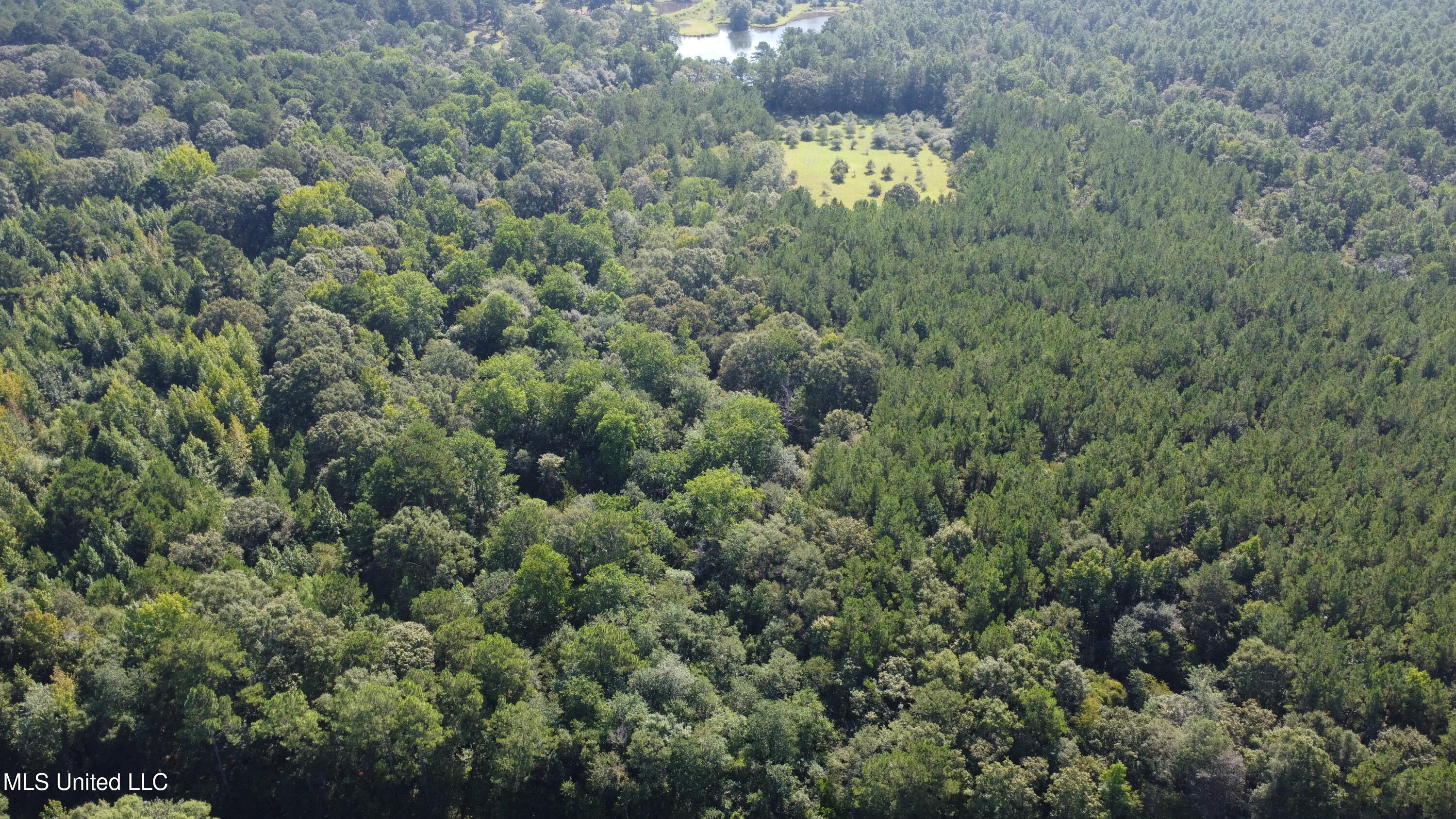 Ben Byrd Road Lumberton, MS 39455 - Photo 11 of 57 DJI_0423