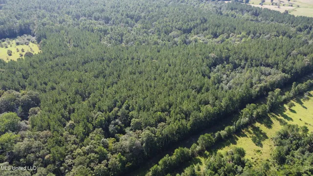 $449,000 | Ben Byrd Road, Lumberton, MS 39455