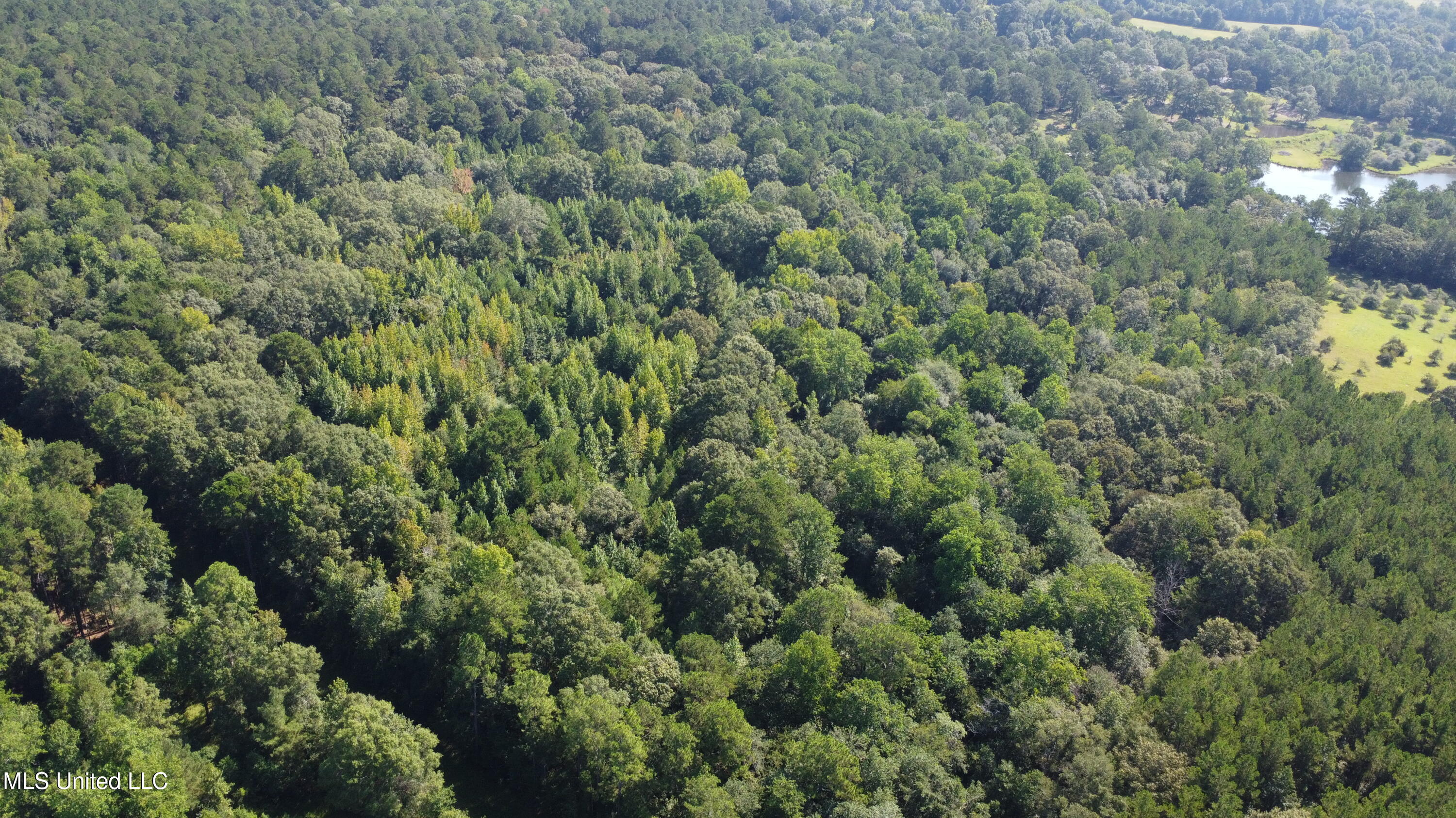 Ben Byrd Road Lumberton, MS 39455 - Photo 13 of 57 DJI_0425