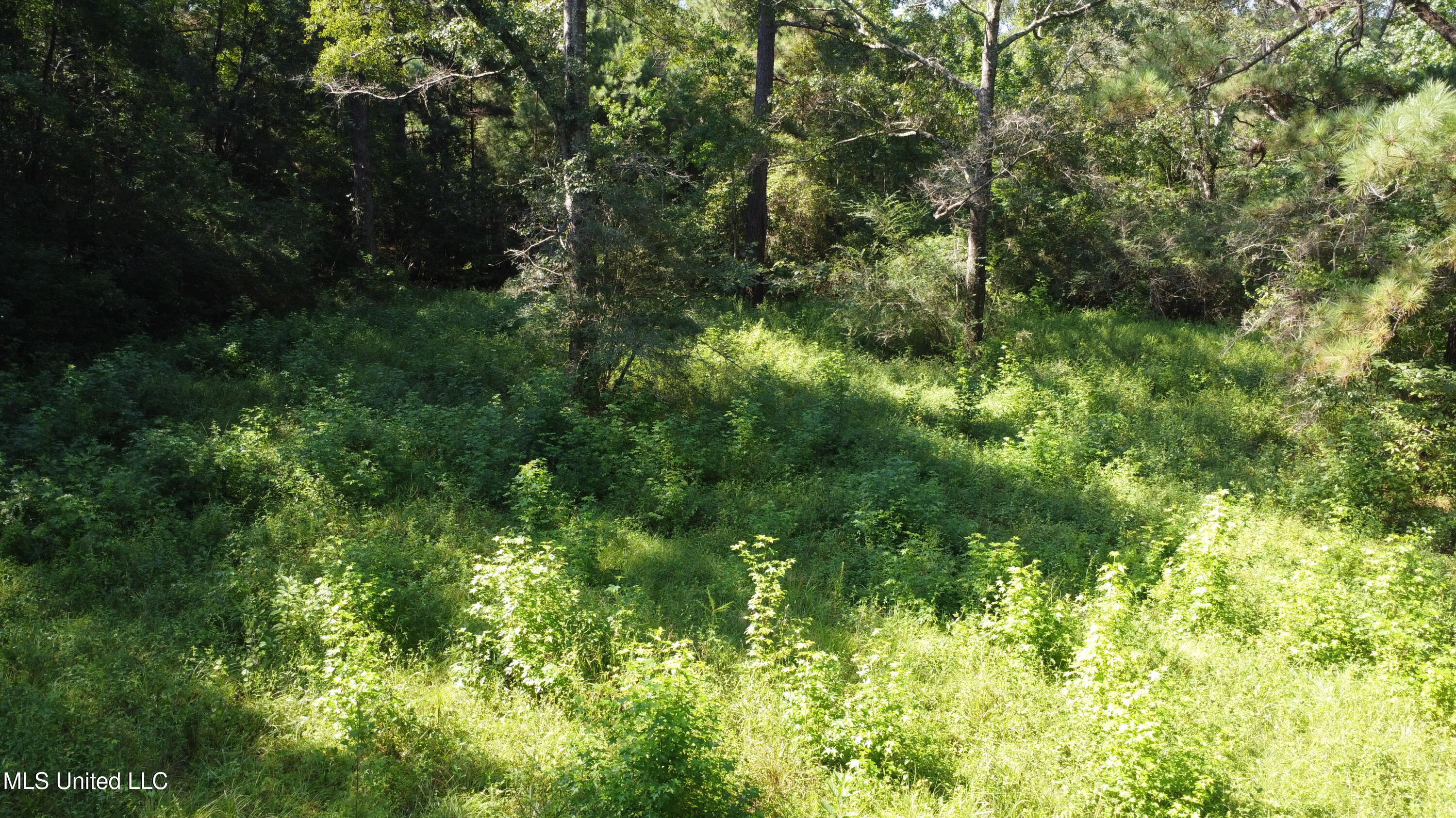 Ben Byrd Road Lumberton, MS 39455 - Photo 14 of 57 DJI_0426