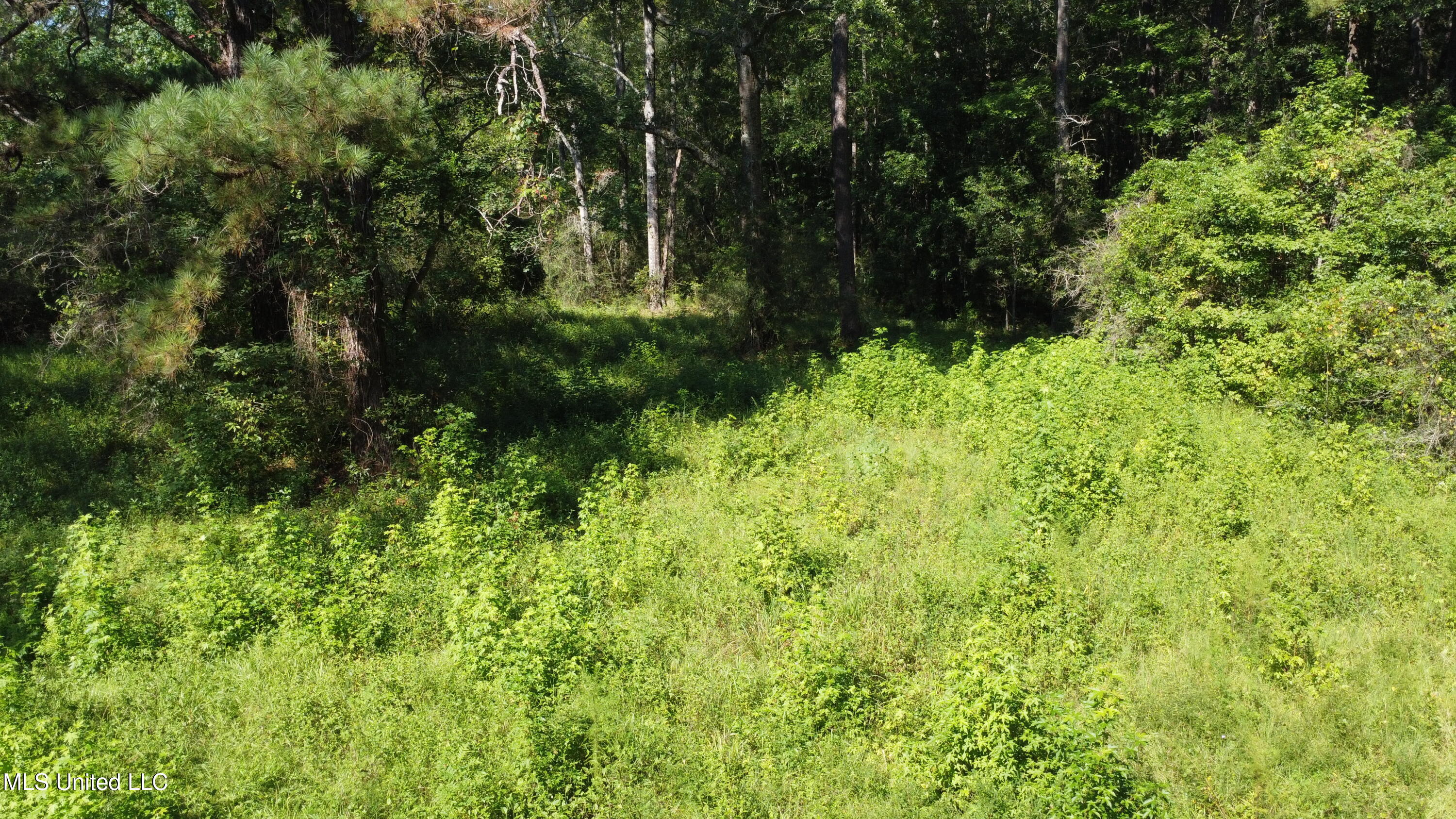 Ben Byrd Road Lumberton, MS 39455 - Photo 15 of 57 DJI_0427