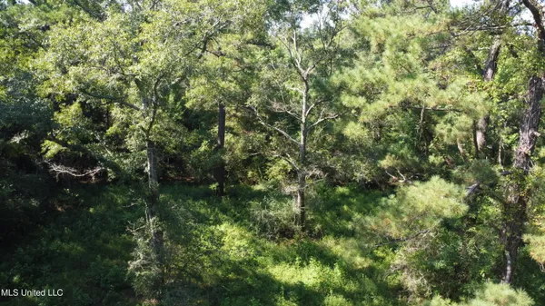$449,000 | Ben Byrd Road, Lumberton, MS 39455