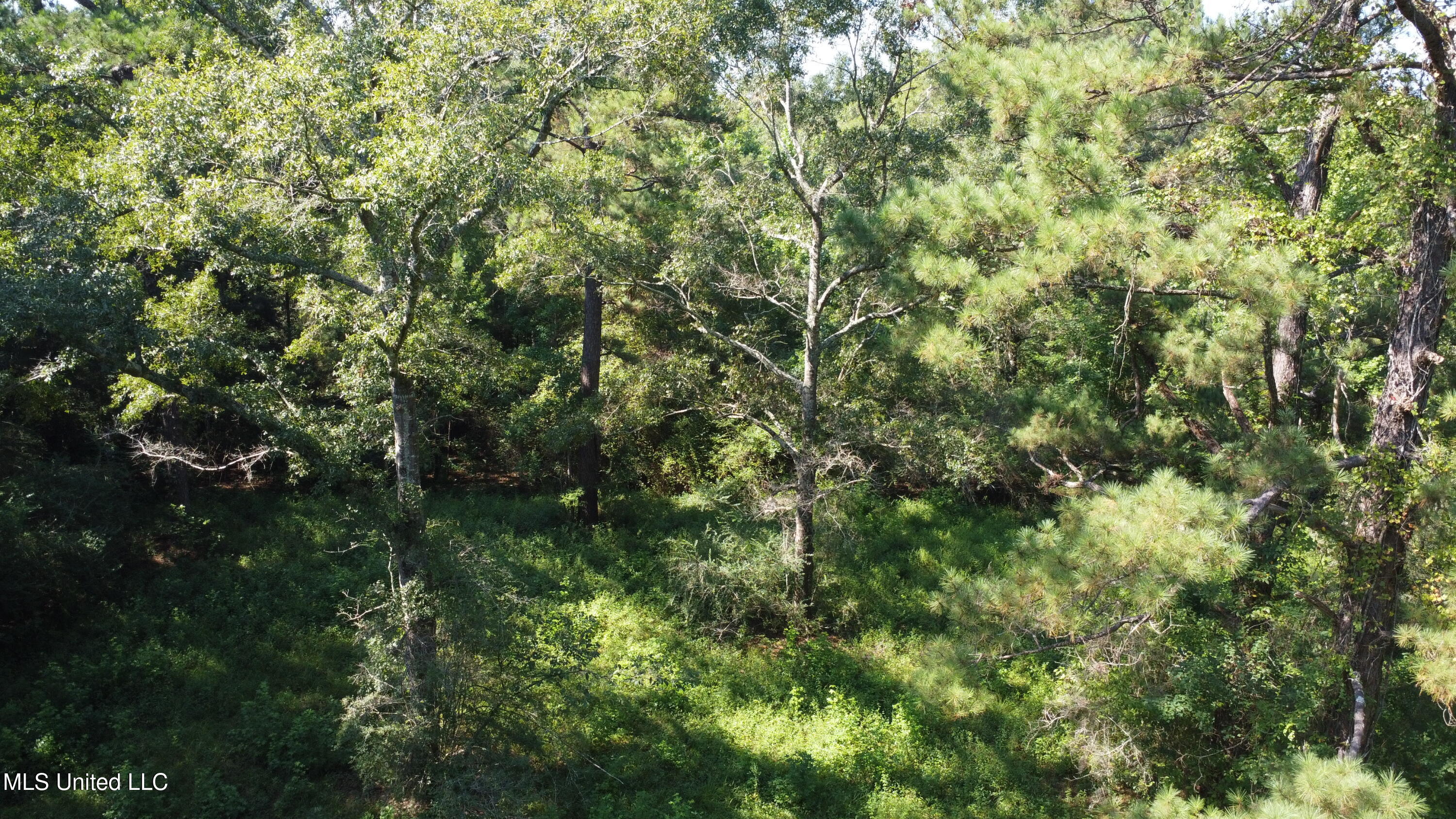 Ben Byrd Road Lumberton, MS 39455 - Photo 16 of 57 DJI_0428