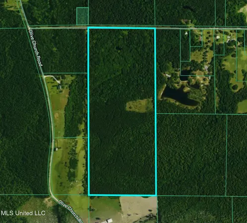 $449,000 | Ben Byrd Road, Lumberton, MS 39455