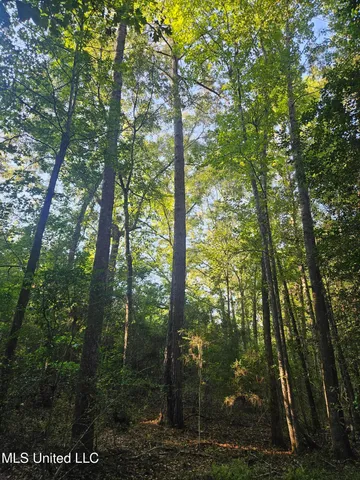 $449,000 | Ben Byrd Road, Lumberton, MS 39455