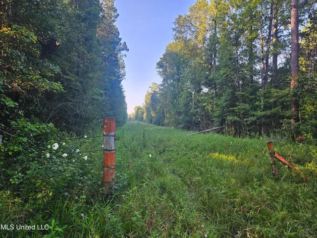 $449,000 | Ben Byrd Road, Lumberton, MS 39455