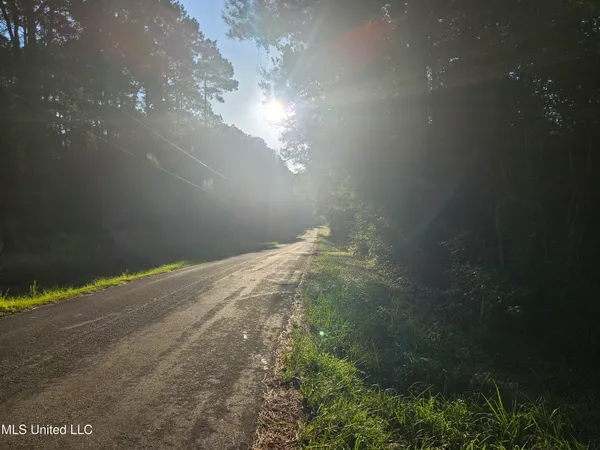 $449,000 | Ben Byrd Road, Lumberton, MS 39455