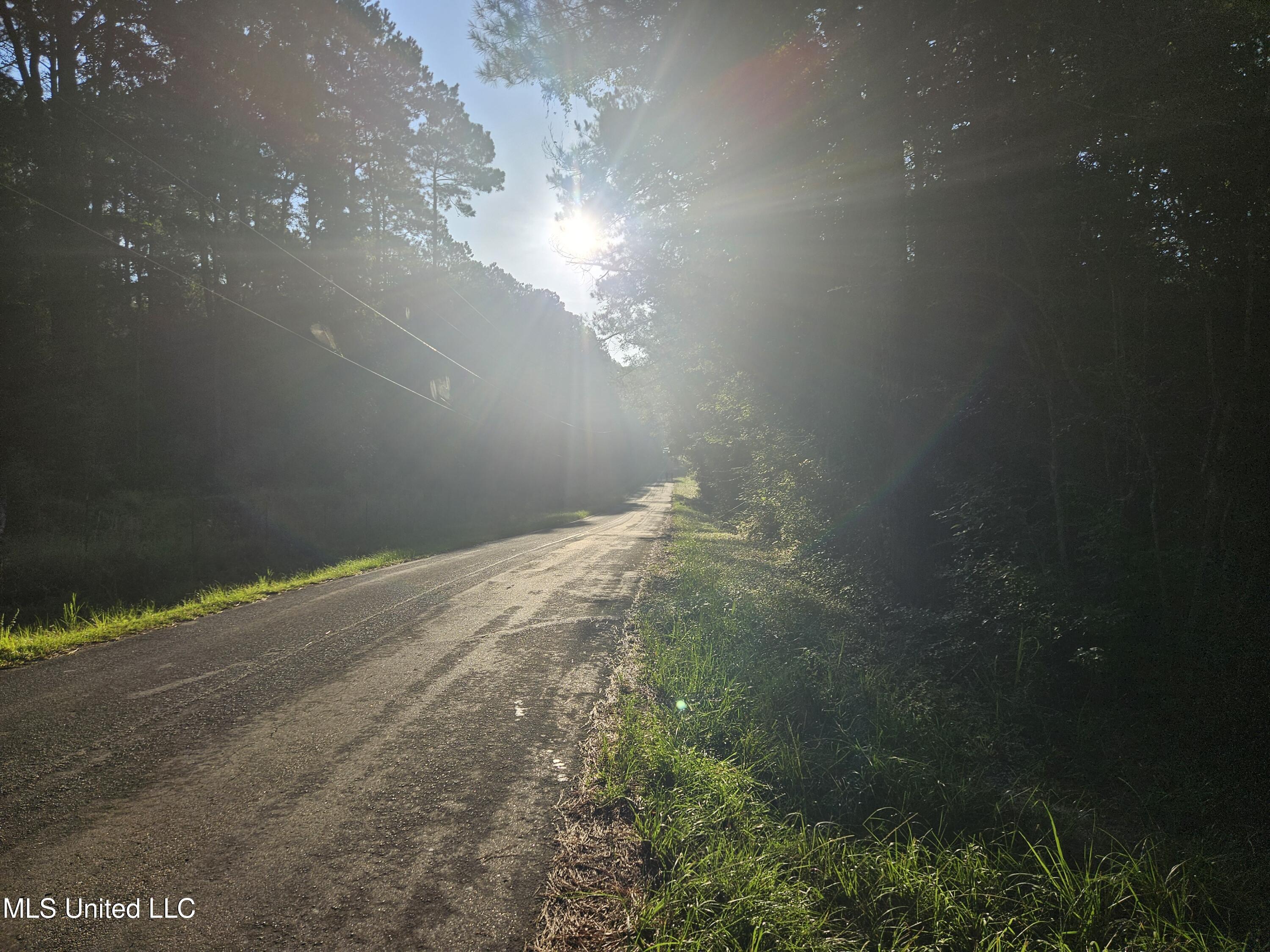 Ben Byrd Road Lumberton, MS 39455 - Photo 20 of 57 20250816_074133