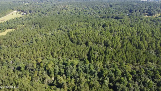 $449,000 | Ben Byrd Road, Lumberton, MS 39455