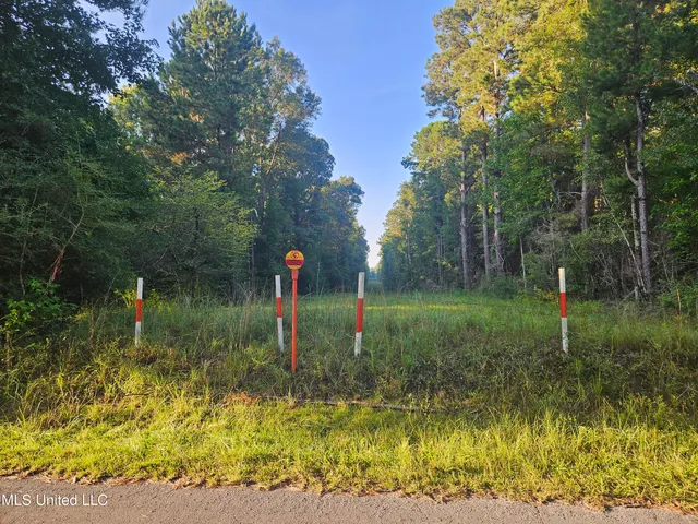 $449,000 | Ben Byrd Road, Lumberton, MS 39455