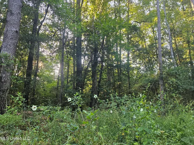 $449,000 | Ben Byrd Road, Lumberton, MS 39455