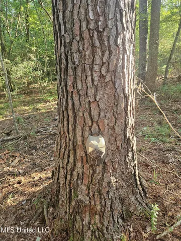 $449,000 | Ben Byrd Road, Lumberton, MS 39455