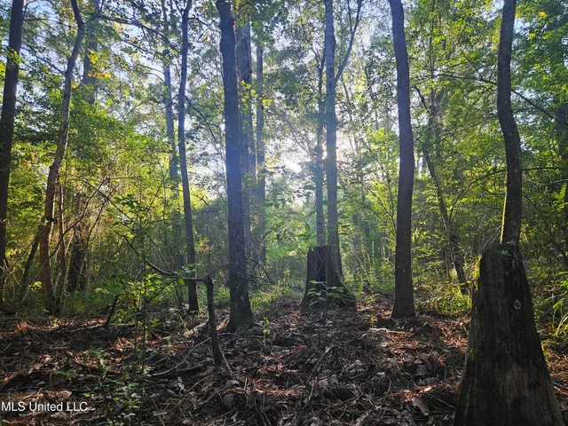 $449,000 | Ben Byrd Road, Lumberton, MS 39455