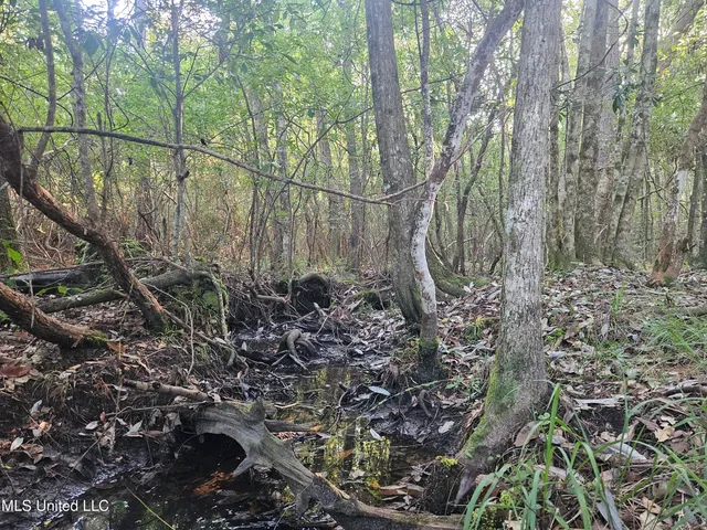 $449,000 | Ben Byrd Road, Lumberton, MS 39455