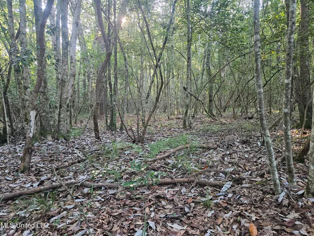 $449,000 | Ben Byrd Road, Lumberton, MS 39455