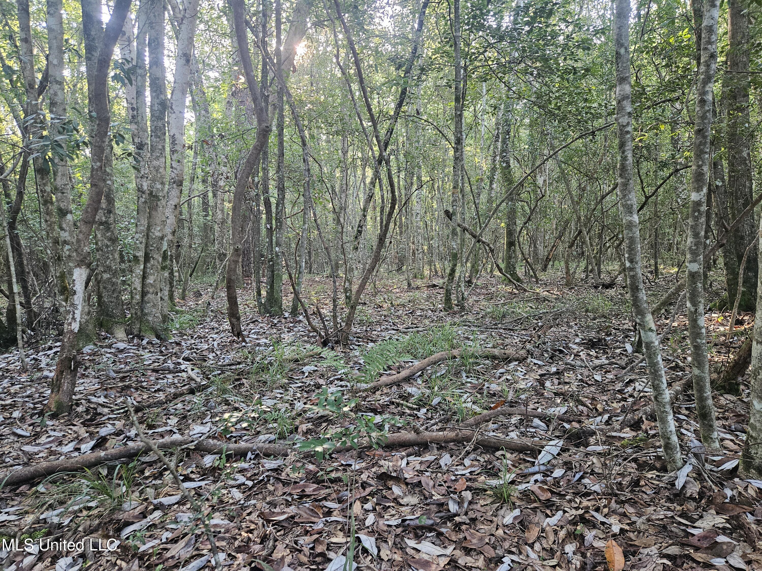 Ben Byrd Road Lumberton, MS 39455 - Photo 27 of 57 20250816_081437