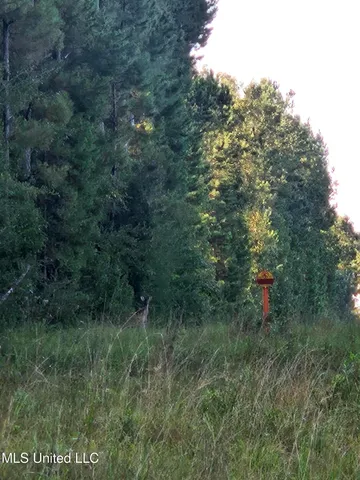 $449,000 | Ben Byrd Road, Lumberton, MS 39455