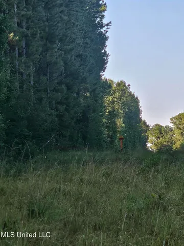 $449,000 | Ben Byrd Road, Lumberton, MS 39455