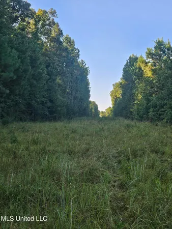 $449,000 | Ben Byrd Road, Lumberton, MS 39455
