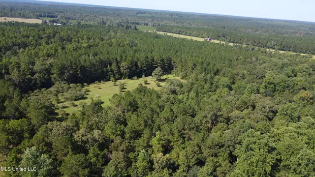 $449,000 | Ben Byrd Road, Lumberton, MS 39455