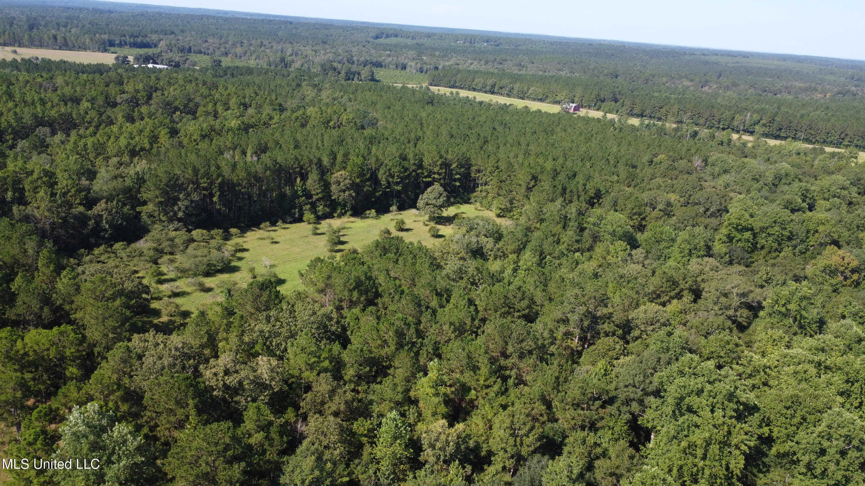 Ben Byrd Road Lumberton, MS 39455 - Photo 3 of 57 DJI_0414