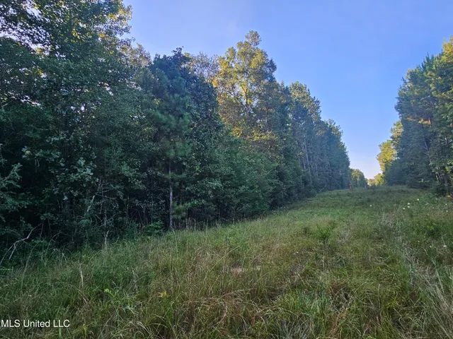 $449,000 | Ben Byrd Road, Lumberton, MS 39455