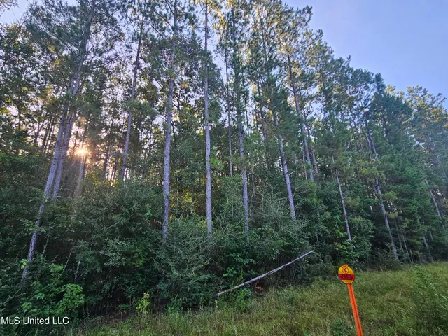 $449,000 | Ben Byrd Road, Lumberton, MS 39455