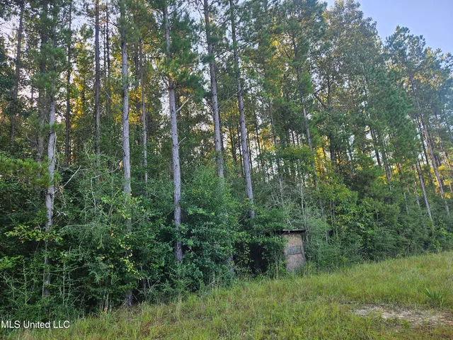$449,000 | Ben Byrd Road, Lumberton, MS 39455