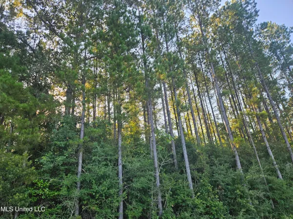 $449,000 | Ben Byrd Road, Lumberton, MS 39455