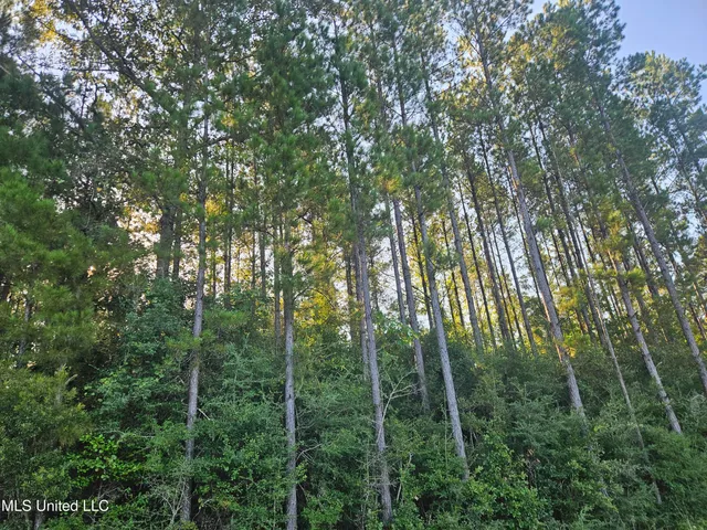 $449,000 | Ben Byrd Road, Lumberton, MS 39455