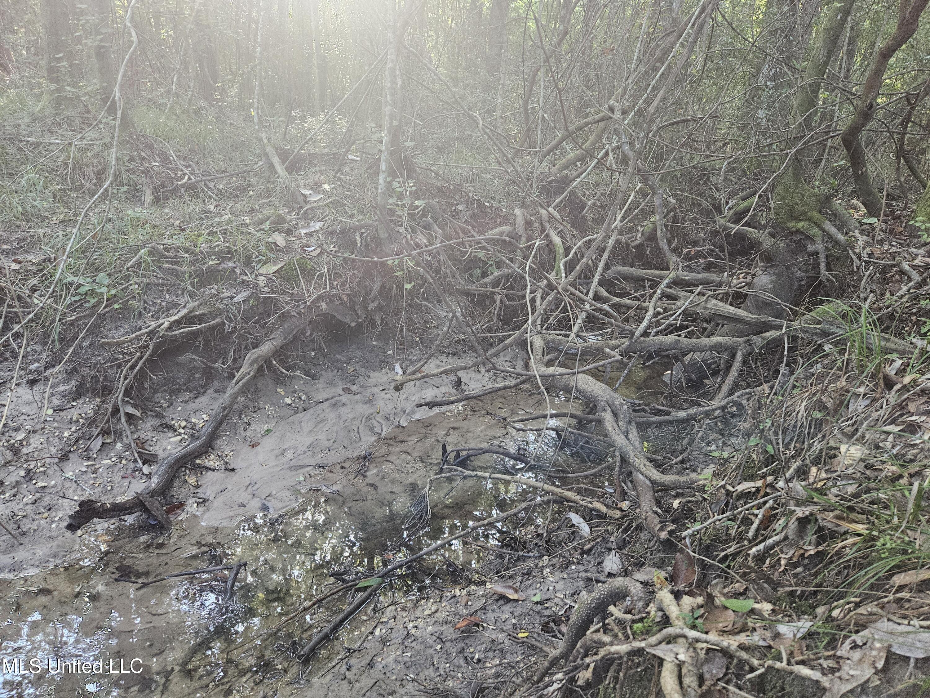 Ben Byrd Road Lumberton, MS 39455 - Photo 35 of 57 20250816_082420