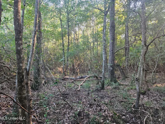 $449,000 | Ben Byrd Road, Lumberton, MS 39455