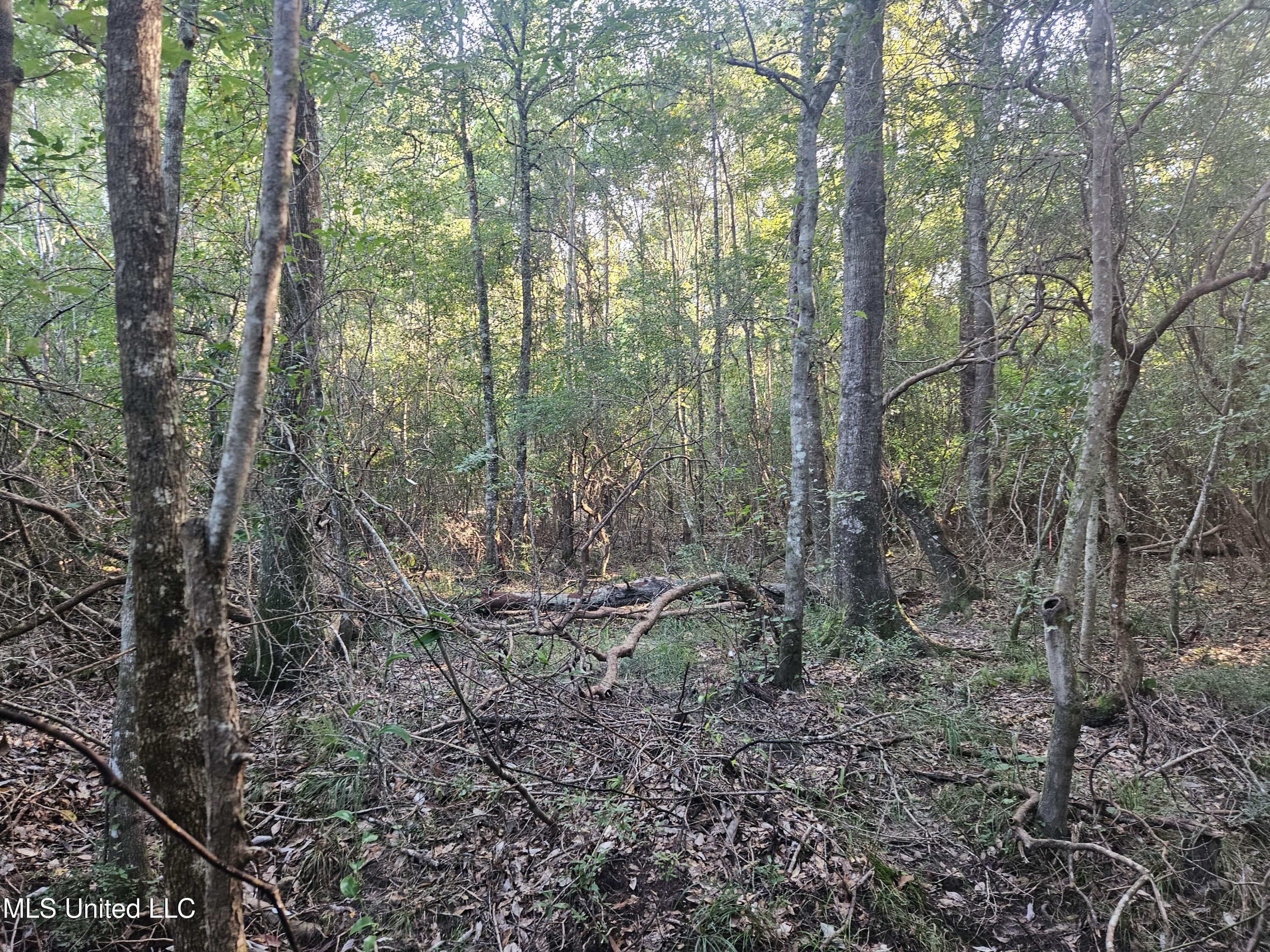 Ben Byrd Road Lumberton, MS 39455 - Photo 36 of 57 20250816_082429