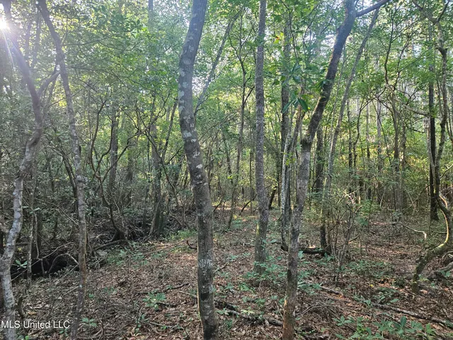 $449,000 | Ben Byrd Road, Lumberton, MS 39455